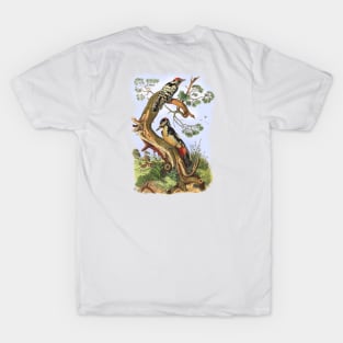 WOODPECKERS T-Shirt